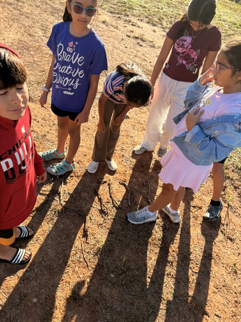 Kids examining something on the trail