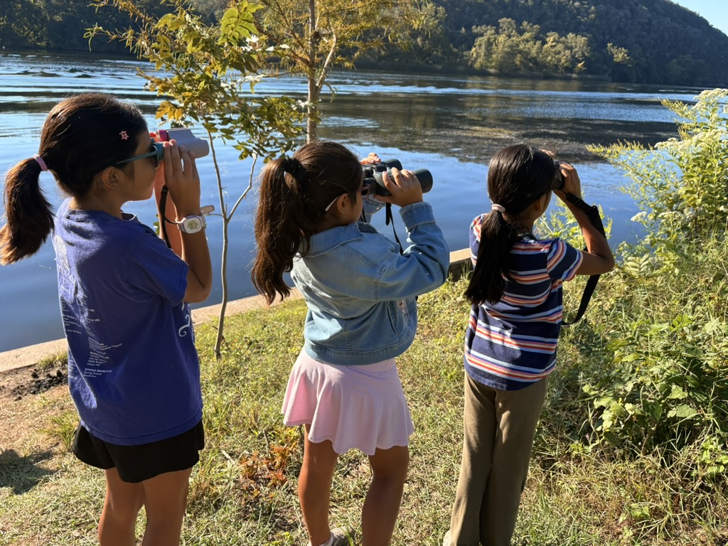Kids birding with binoculars at the lake